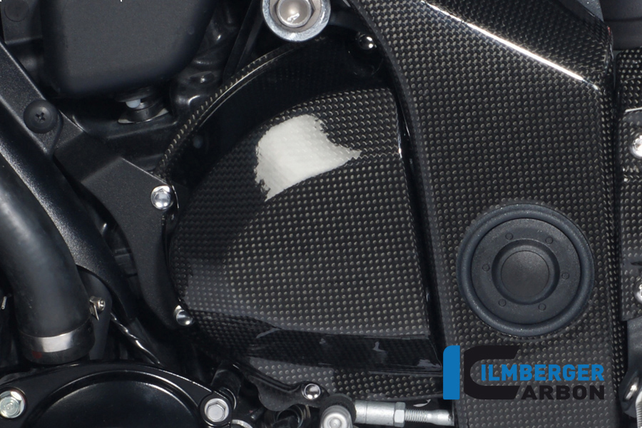 Ritzelabdeckung Carbon TRIUMPH Speed Triple (2011)