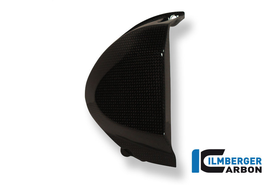 Ritzelabdeckung Carbon TRIUMPH Speed Triple (2011) – Bild 4
