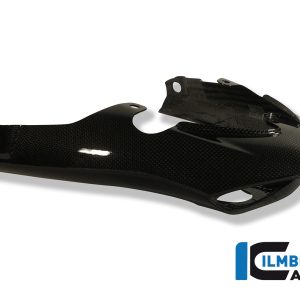 Rücklichtverkleidung Carbon TRIUMPH Speed Triple (2011)