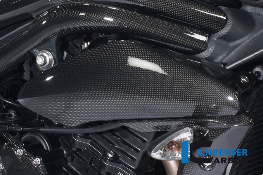 Seitendeckel überm Kühler rechts Carbon TRIUMPH Speed Triple (2011) – Bild 5