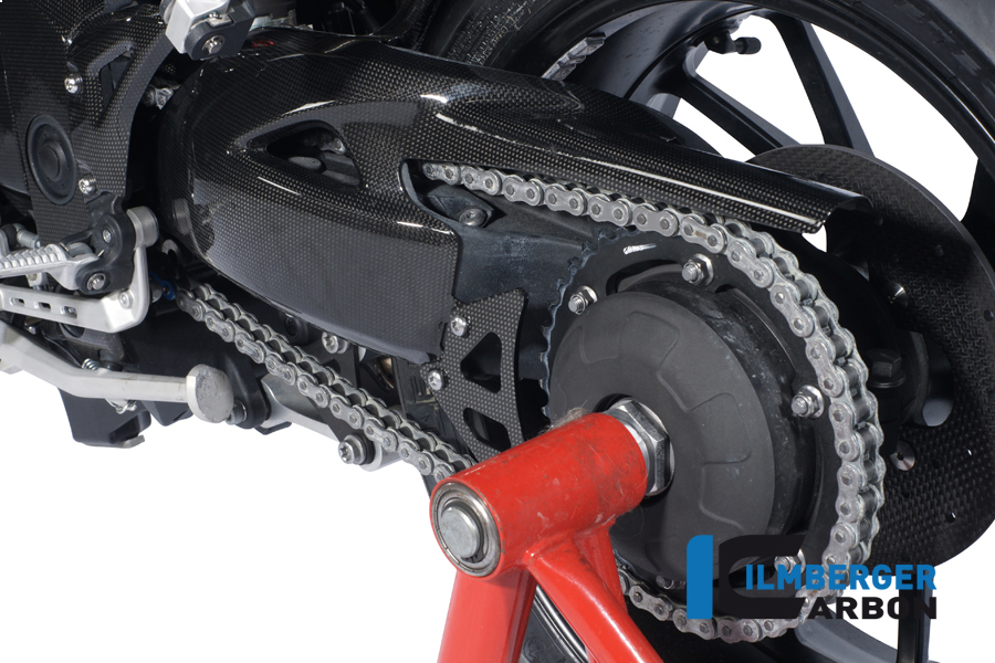 Schwingenschutz Carbon TRIUMPH Speed Triple (2012-2020) – Bild 2