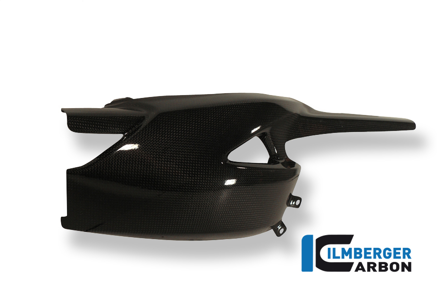 Schwingenschutz Carbon TRIUMPH Speed Triple (2012-2020) – Bild 5