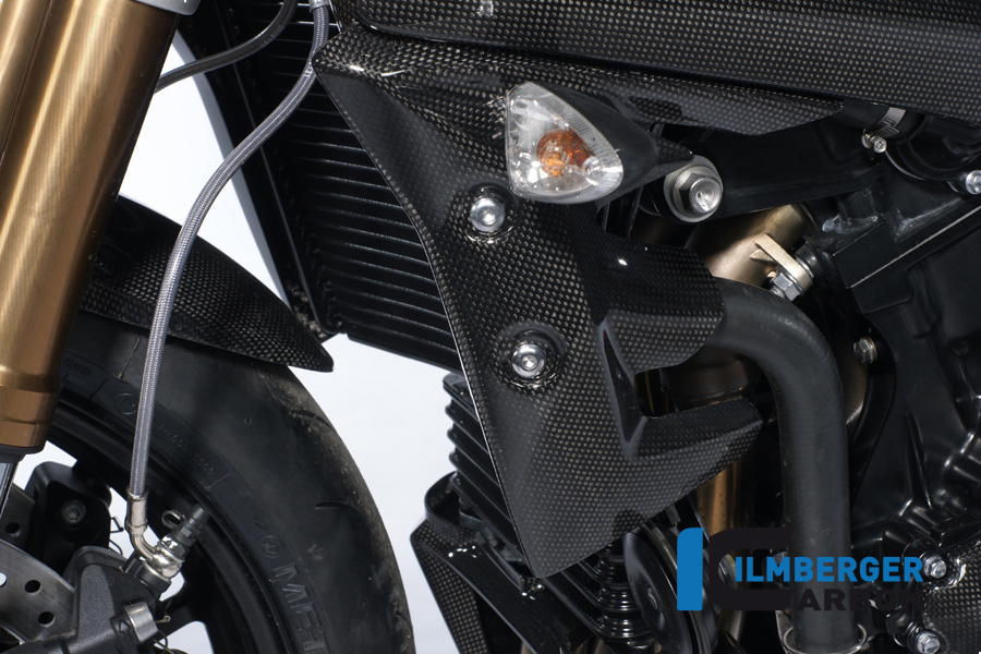 Wasserkühlerabdeckung links Carbon TRIUMPH Speed Triple (2011) – Bild 3