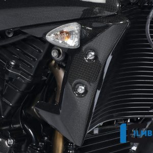 Wasserkühlerabdeckung rechts Carbon TRIUMPH Speed Triple (2011)