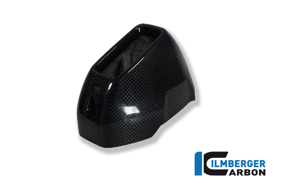 Auspuffhitzeschutz hinten Carbon BMW R 1200 GS (LC) 2017 - 2018 – Bild 2
