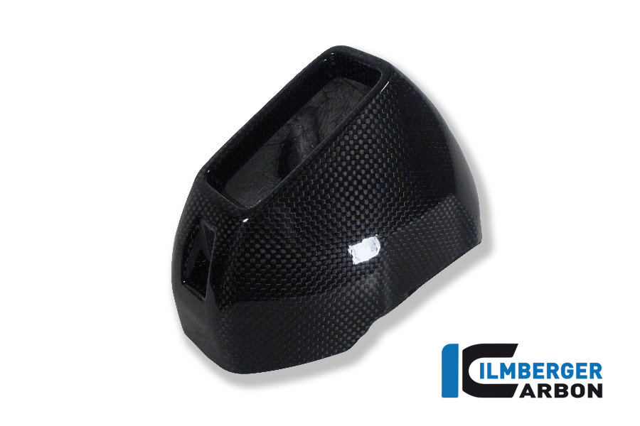Auspuffhitzeschutz hinten Carbon BMW R 1200 GS (LC) 2017 - 2018 – Bild 4