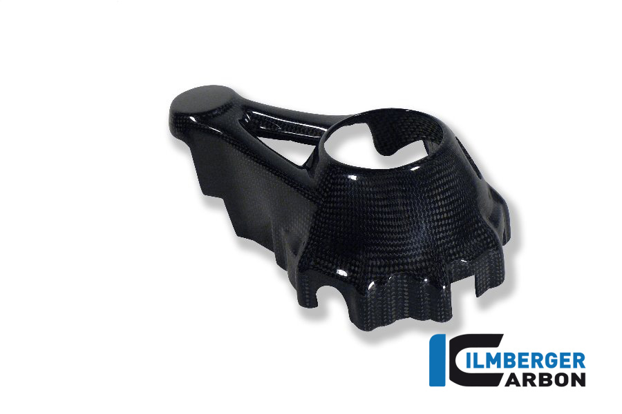 Kardangehäuseabdeckung (Montage in Verbindung mit Spritzschutz hinten) Carbon BMW R 1200 GS (LC) Adventure 2014 - 2018 – Bild 3
