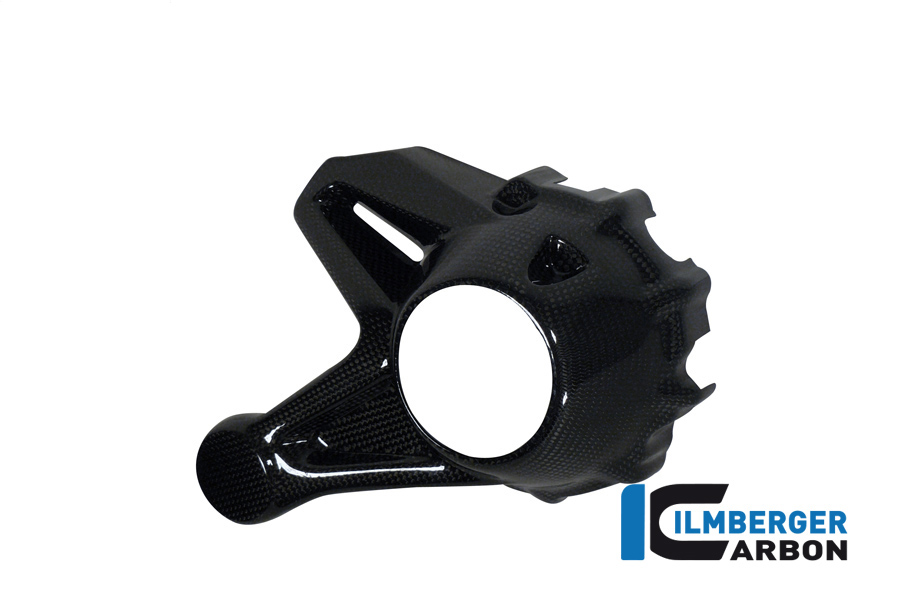 Kardangehäuseabdeckung (Montage ohne Spritzschutz hinten) Carbon für die wassergekühlten BMW R 1200 BMW R 1200 R (LC) 2015 - 2019 – Bild 4