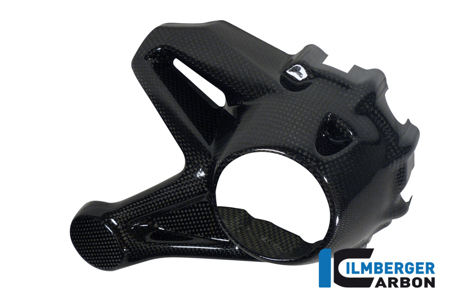 Kardangehäuseabdeckung (Montage ohne Spritzschutz hinten) Carbon für die wassergekühlten BMW R 1200 BMW R 1200 R (LC) 2015 - 2019 – Bild 5