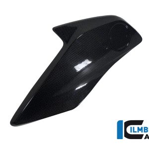 Wasserkühlerabdeckung links (Plakettenträger links) Carbon BMW R 1200 GS (LC) (2013-2016)