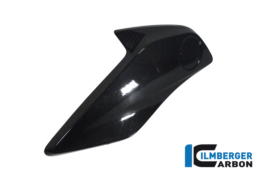 Wasserkühlerabdeckung links (Plakettenträger links) Carbon BMW R 1200 GS (LC) (2013-2016) – Bild 2
