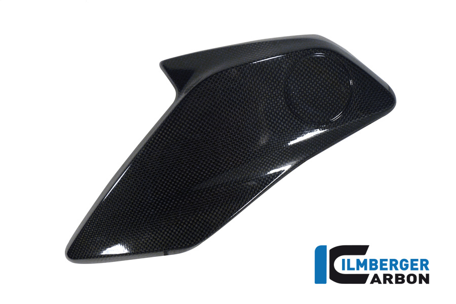 Wasserkühlerabdeckung links (Plakettenträger links) Carbon BMW R 1200 GS (LC) (2013-2016) – Bild 3