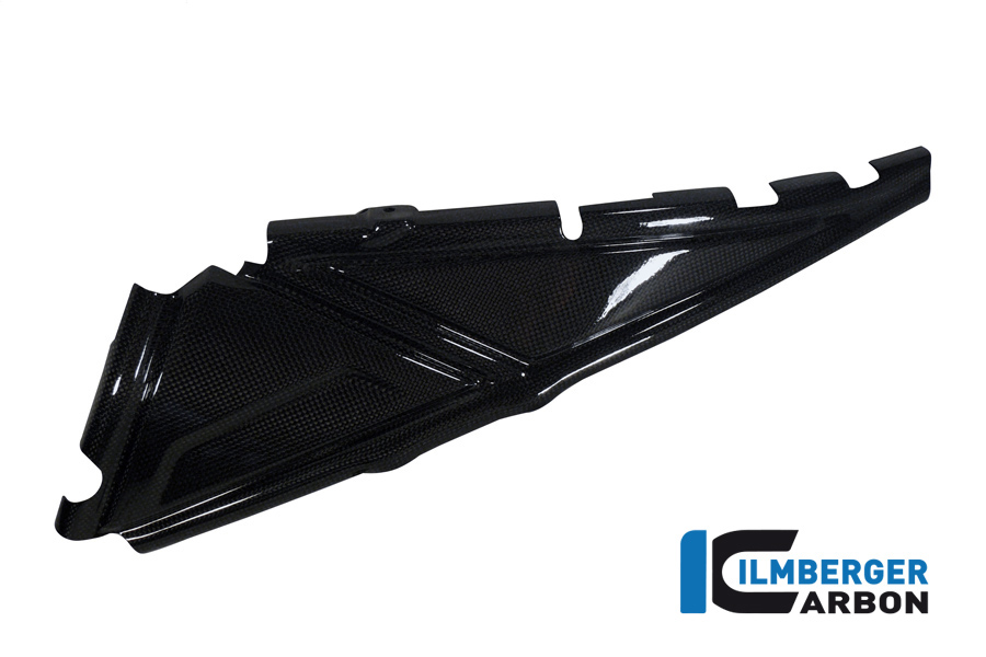 Heckrahmencover links Carbon BMW R 1200 GS (LC) Adventure 2014 - 2018 – Bild 2
