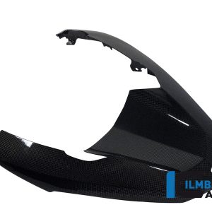 Schnabel vorne / oberer Kotflügel  Carbon BMW R 1200 GS (LC) (2013-2016)