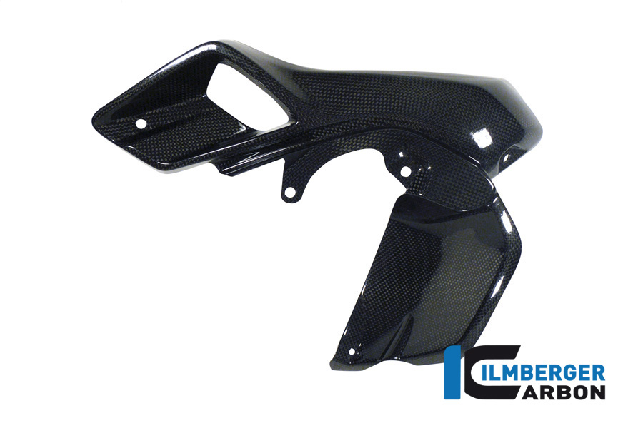 Windkanal links (obere Wasserkühlerabdeckung) Carbon BMW R 1200 GS (LC) (2013-2016)