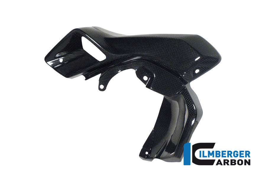 Windkanal links (obere Wasserkühlerabdeckung) Carbon BMW R 1200 GS (LC) (2013-2016) – Bild 2