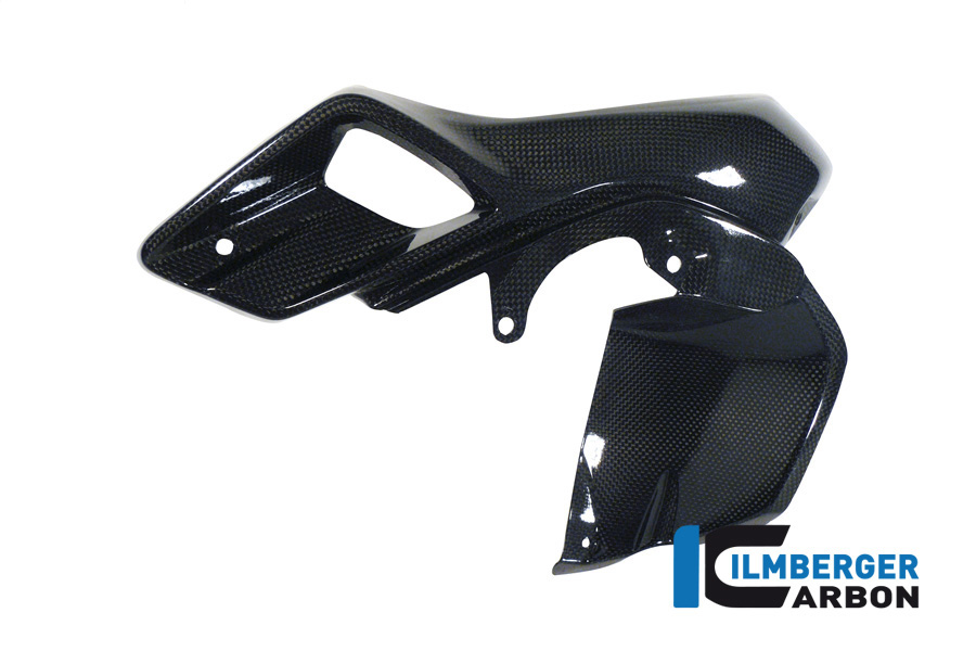 Windkanal links (obere Wasserkühlerabdeckung) Carbon BMW R 1200 GS (LC) (2013-2016) – Bild 3