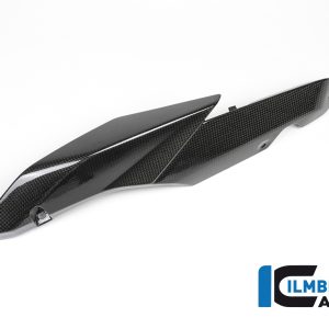 Seitendeckel am Sitz links Carbon BMW R 1200 RS (LC) 2015-2019