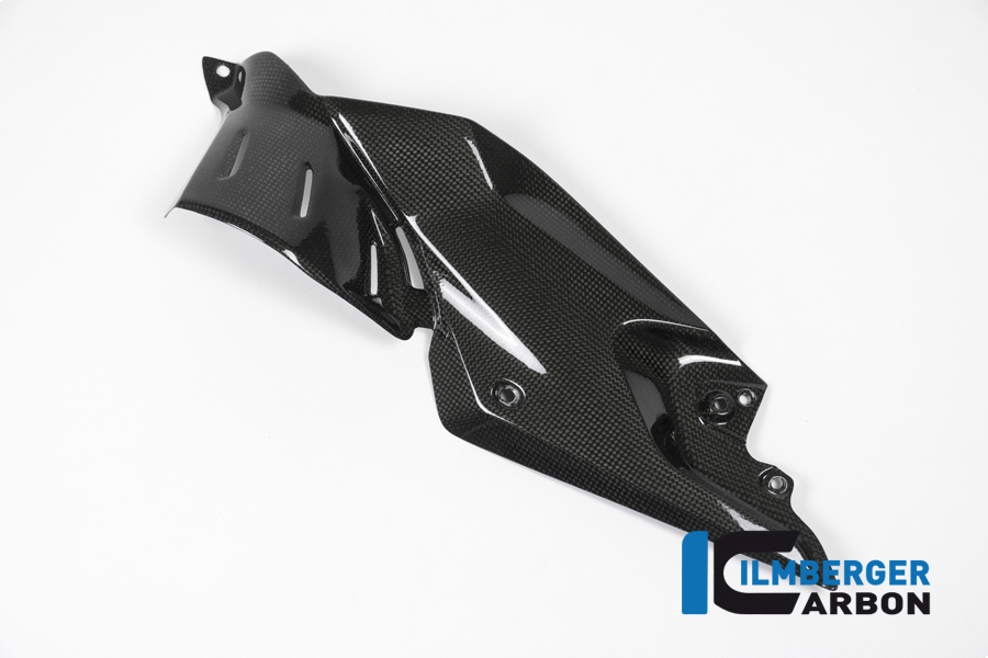 Seitendeckel unterm Tank links Carbon BMW R 1200 R (LC) 2015 - 2019 – Bild 3