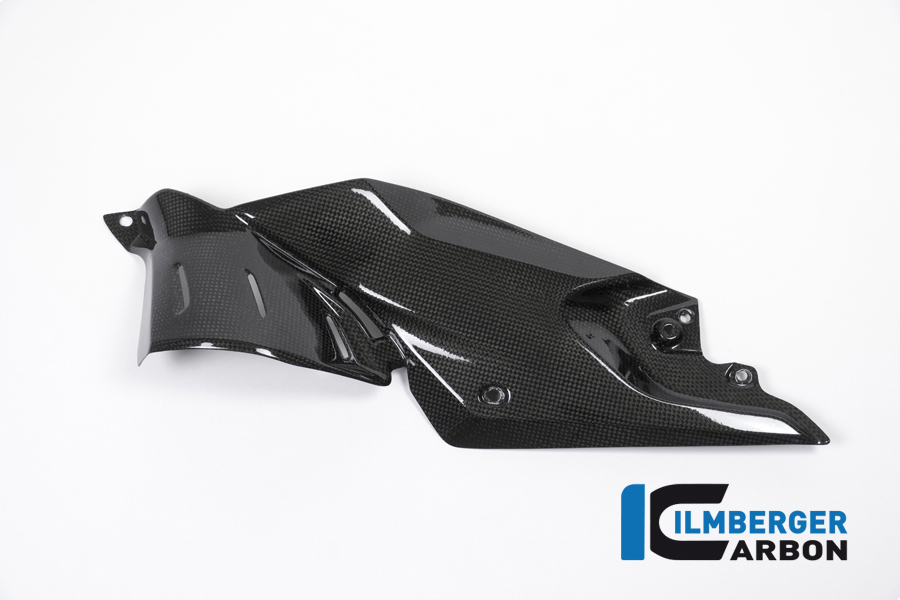 Seitendeckel unterm Tank links Carbon BMW R 1200 R (LC) 2015 - 2019 – Bild 4