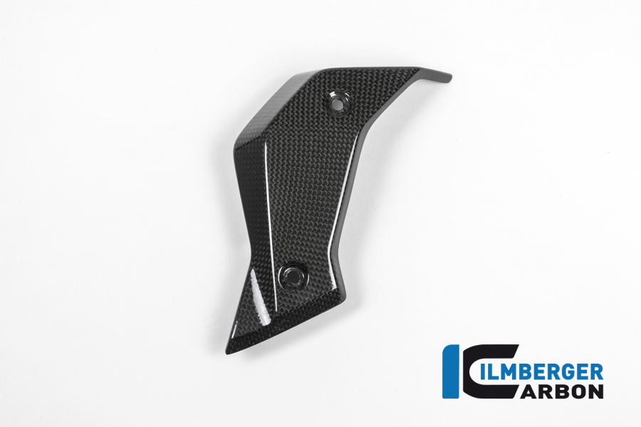 Wasserkühlerabdeckung links Carbon BMW R 1200 R (LC) 2015 - 2019 – Bild 2