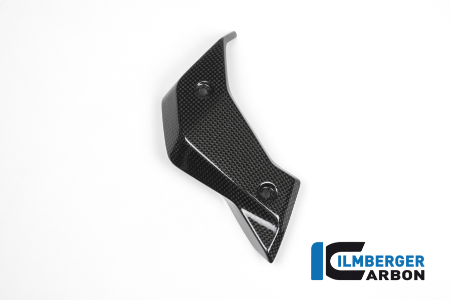 Wasserkühlerabdeckung links Carbon BMW R 1200 R (LC) 2015 - 2019 – Bild 3