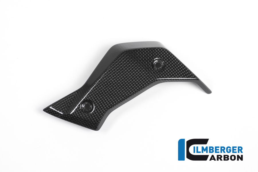 Wasserkühlerabdeckung links Carbon BMW R 1200 R (LC) 2015 - 2019 – Bild 4
