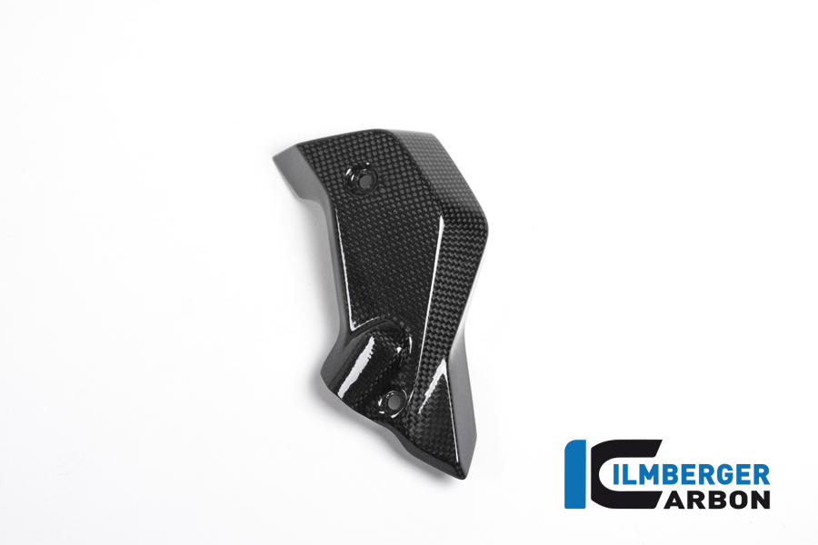 Wasserkühlerabdeckung rechts Carbon BMW R 1200 R (LC) 2015 - 2019 – Bild 2