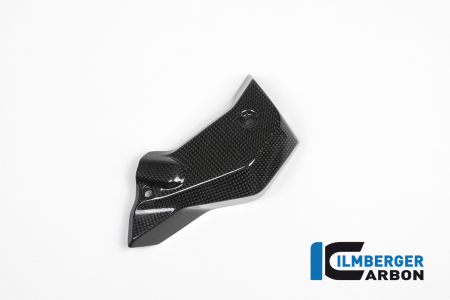 Wasserkühlerabdeckung rechts Carbon BMW R 1200 R (LC) 2015 - 2019 – Bild 3