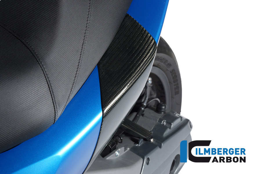 Sturzpad hinten (2tlg) C600 Sport BMW C 600 Sport 2012 - 2015 – Bild 3