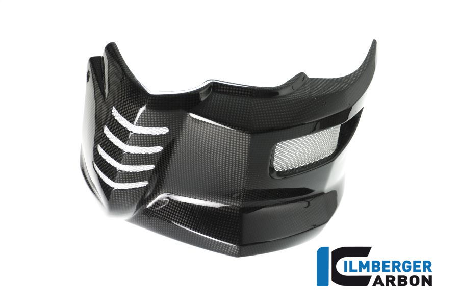 Motorspoiler BMW F 800 R (2015 2019) – Bild 3