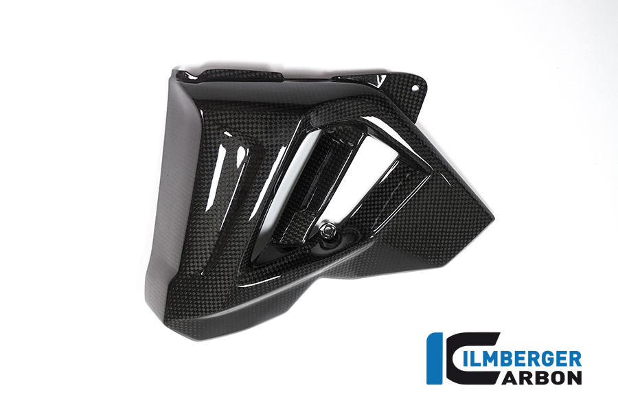 Wasserkühlerverkleidung links BMW F 800 R (2015 2019)