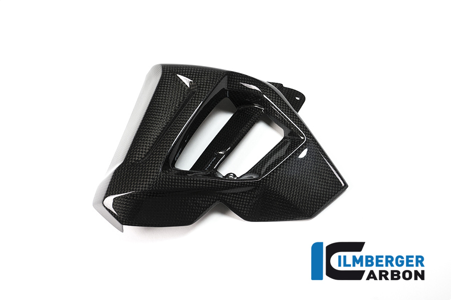 Wasserkühlerverkleidung links BMW F 800 R (2015 2019) – Bild 3