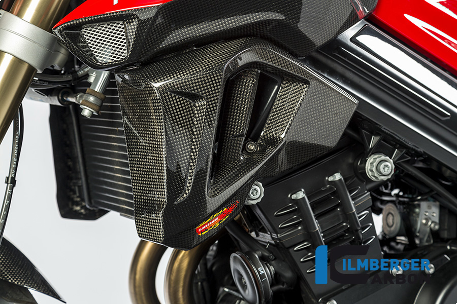 Wasserkühlerverkleidung links BMW F 800 R (2015 2019) – Bild 5