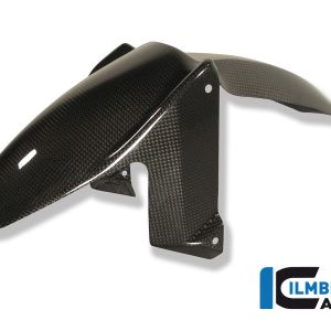 Kotflügel vorne Carbon BMW F 800 R BMW F 800 GT  (2012  2020)