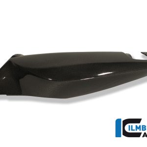Seitendeckel unterm Sitz links Carbon BMW F 800 GT (2012 2020)