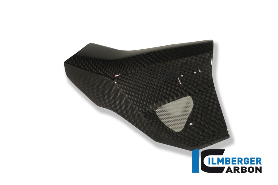 Wasserkühlerverkleidung rechts Carbon BMW F 800 R (2009-2011)