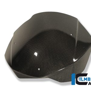 Windschild Carbon BMW F 800 R (2009-2011)