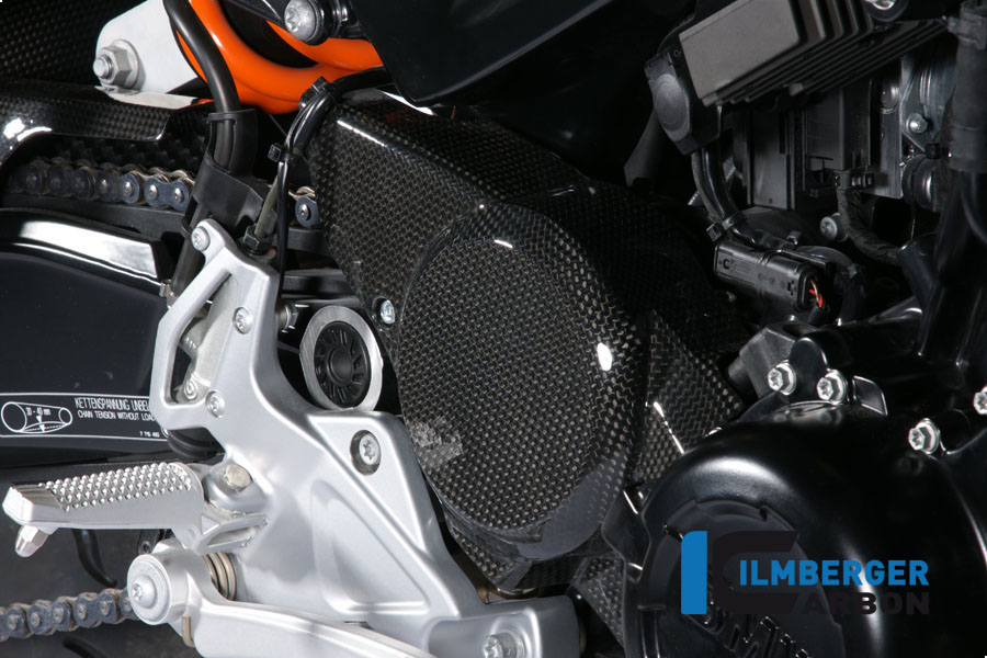 Zahnriemenantriebsradabdeckung Carbon BMW F 800 R (2012-2014) – Bild 2