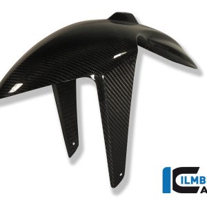 Kotflügel vorne  Carbon BMW K 1200 R BMW K 1200 R (2005-2008)