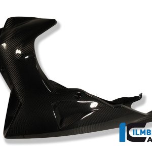 Motorspoiler Carbon BMW K 1300 R 2008-2016