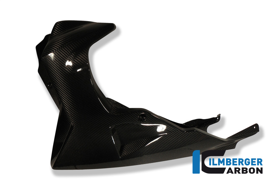 Motorspoiler Carbon BMW K 1300 R 2008-2016
