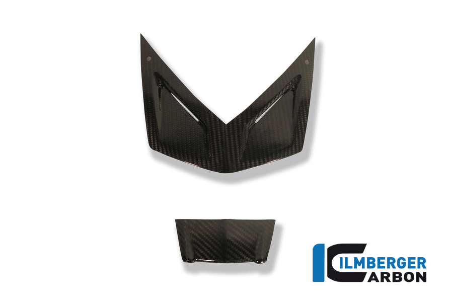 Verkleidungsabdeckungen am Licht Carbon BMW K 1300 S 2008-2016