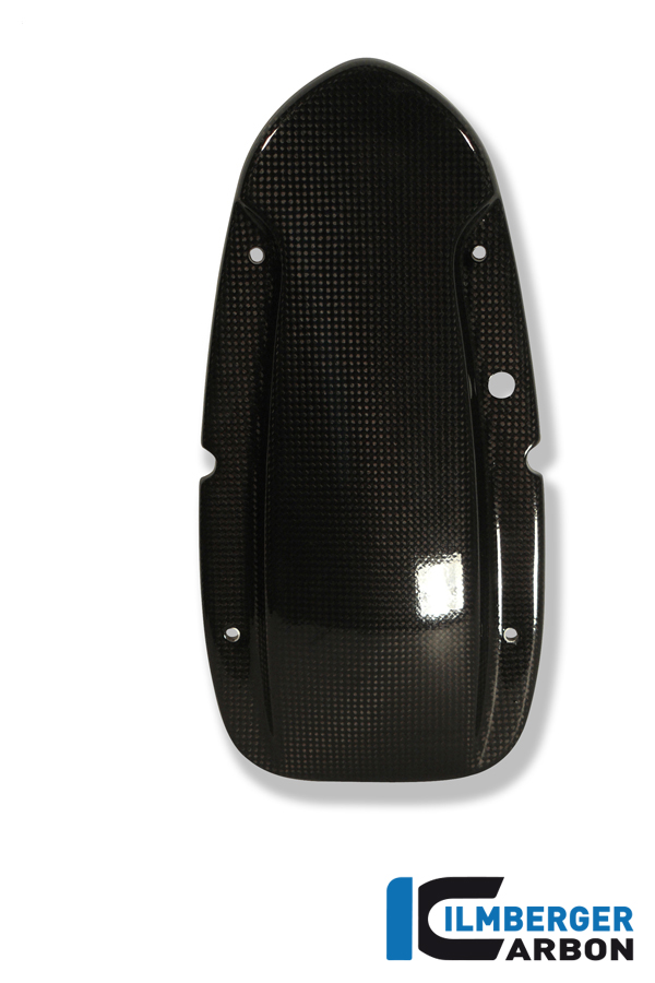Lichtmaschinendeckel Carbon BMW R 1150 R (2000-2005)