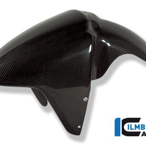 Kotflügel vorne Carbon BMW R 1100 S BMW R 1100 S (1999-2006)