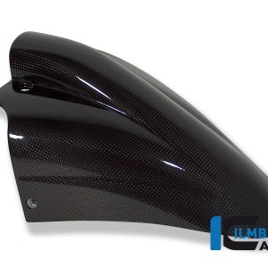 Kotflügel vorne Carbon BMW R 1150 R BMW R 1150 R (2000-2005)