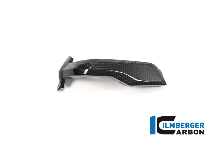 Zündkerzenstecker Abdeckung links BMW LC Boxer - Carbon BMW R 1200 GS (LC) 2017 - 2018