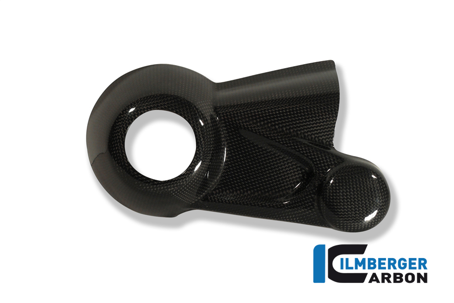 Kardangehäuseabdeckung Carbon BMW R 1200 S (2006-2008)