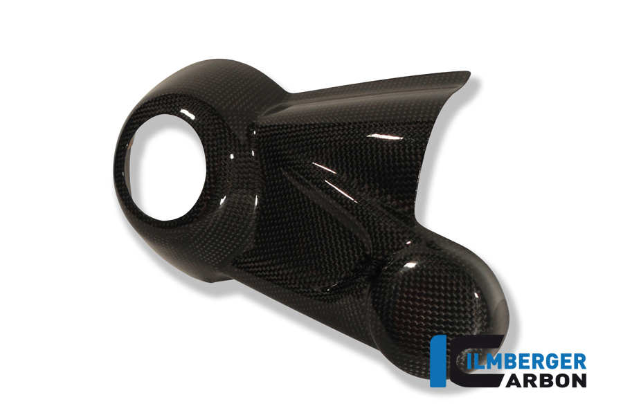 Kardangehäuseabdeckung Carbon BMW R 1200 S (2006-2008) – Bild 3