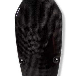 Lichtmaschinendeckel Carbon BMW R 1200 GS (2008-2009)